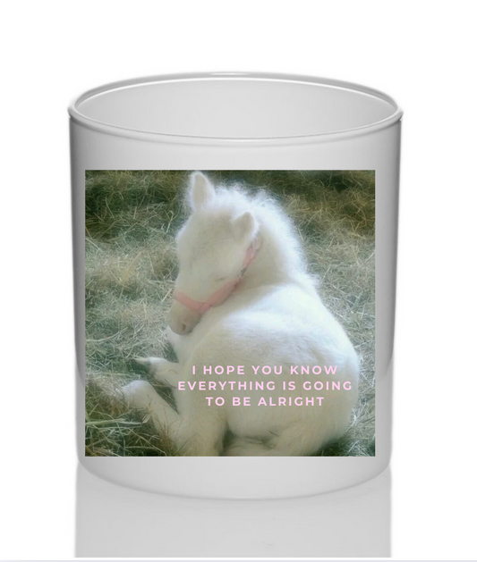 pony candle